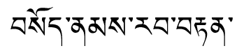 Tibetan script rendering of Sonam Rabden