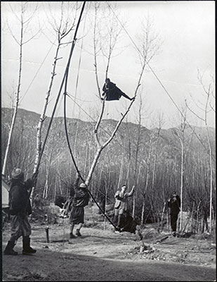Raising a telegraph pole