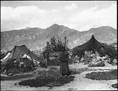 Beggars' tents, Lhasa