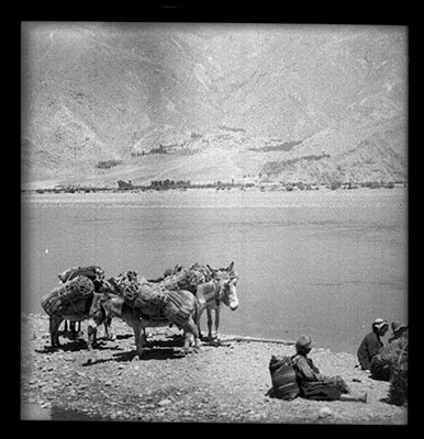 Pack mules and travellers at  Ramagang ferry