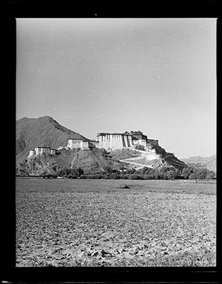 Potala from the north