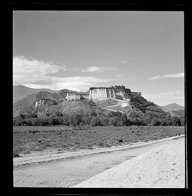 Potala from northeast