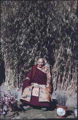 Nechung oracle, Lobsang Namgyal, at Nechung