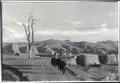 Bridge at Gyantse