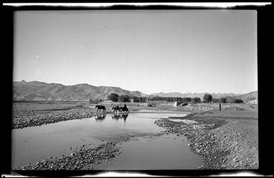 Postal horses near British Trade Agency, Gyantse