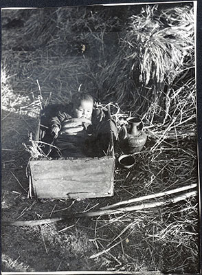 Tibetan baby during harvest