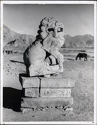 Stone lion at Trapchi