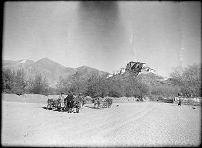Muleteers approaching Potala from west