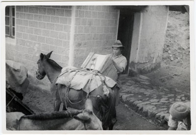 Loading mule at Champithang