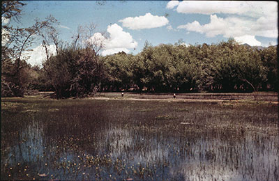 Marshes behind Potala