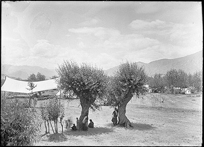 A park with tents near Lhasa