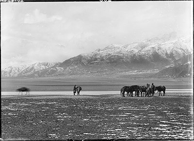 Tsangpo Valley