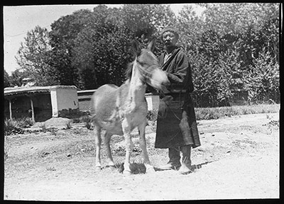 A young Kyang belonging to the Dalai Lama