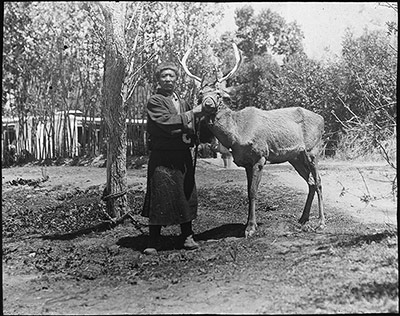 13th Dalai Lama's shao