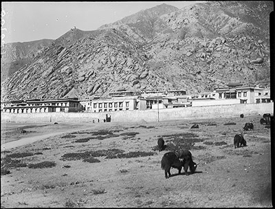 Sera Monastery