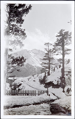 View of mountains from Champitang