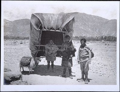Three men and a coracle boat and sheep
