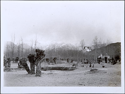 The Potala from the Dekyi Lingka