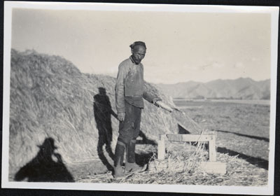 Cutting straw in Lhasa