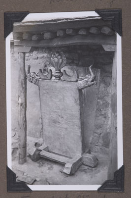 Back view of stand for radung horns