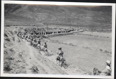 Harvest festival near Pede