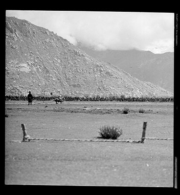 Rope for tethering horses at Dzonggyap Shambe