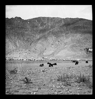 Reception camp with Peacock Tent at Doguthang (Rikya)