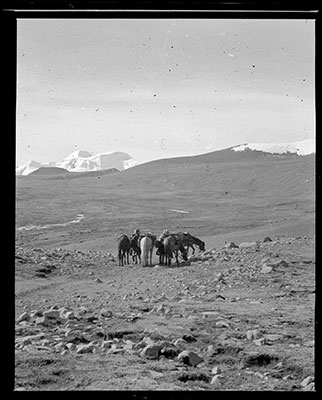 View of Mount Trinley gyalpo