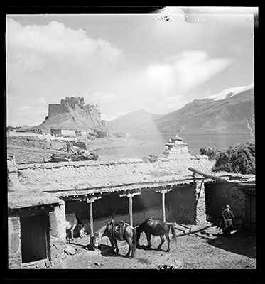 Resthouse stable and horses in Pede with fort in distance