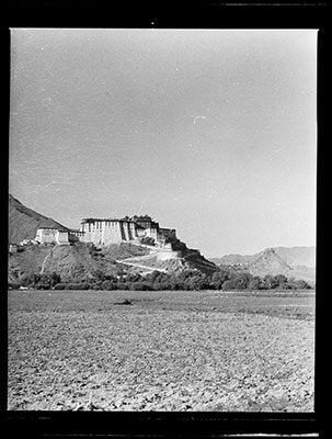Potala from the north