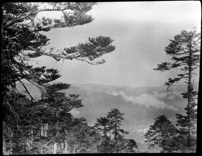 Chumbi Valley near Yatung