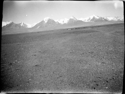 Plain of the three sisters with kyang in distance