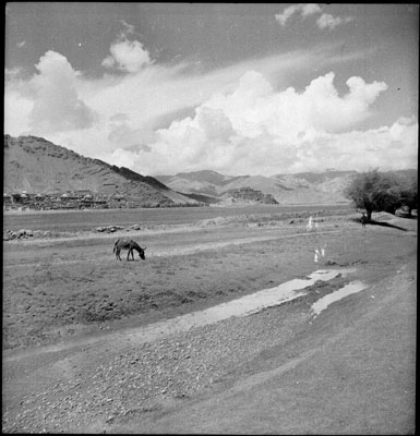 Tashilhunpo Monastery