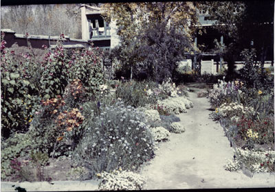 Flower-filled garden at Dekyi Lingka