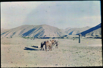 Tride Srongtsen's inscription pillar in the Chyongye valley