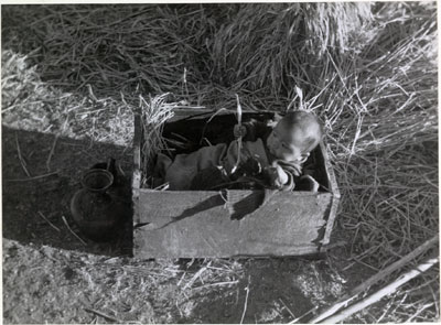 Tibetan baby during harvest