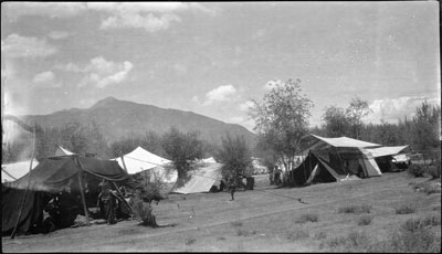A ling-ka near Lhasa with tents of picnicking parties. The trees are willow and poplar