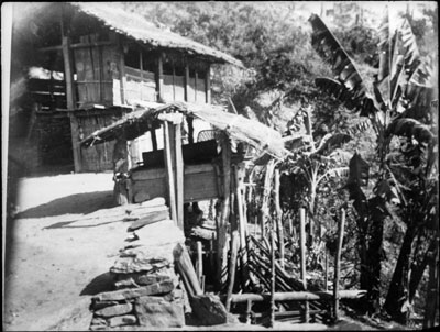 Lepcha house in a forest in Sikkim