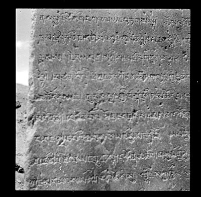 View full details