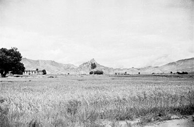Neame [Gyantse]