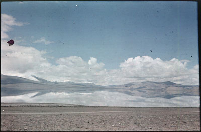 View full details