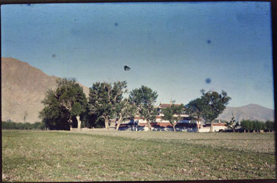 View full details