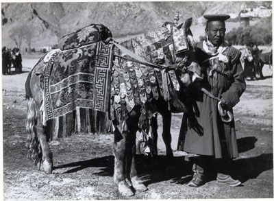 Regent's horse with elaborate saddle