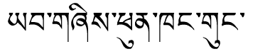 Tibetan script rendering of Tashi Dorje Phunkhang