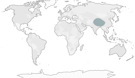 World Map showing Tibet