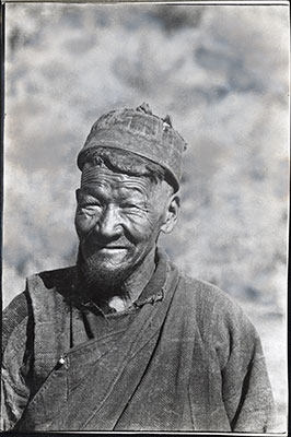 Tibetan shepherd