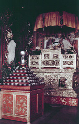 Image of Dalai Lama, Norbu Lingka