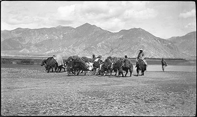 Nomad tribe from the north travelling to Lhasa