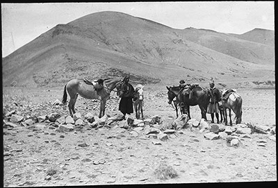 Bell's pony and servants on the 'Plain of the Three Sisters'
