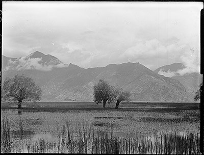Flooded meadow by the Lingkhor, Lhasa